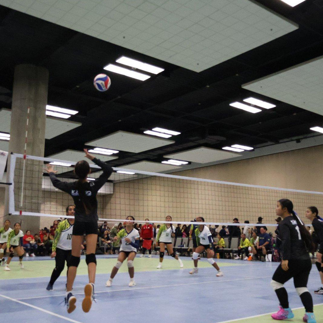 kakoo volleyball academy